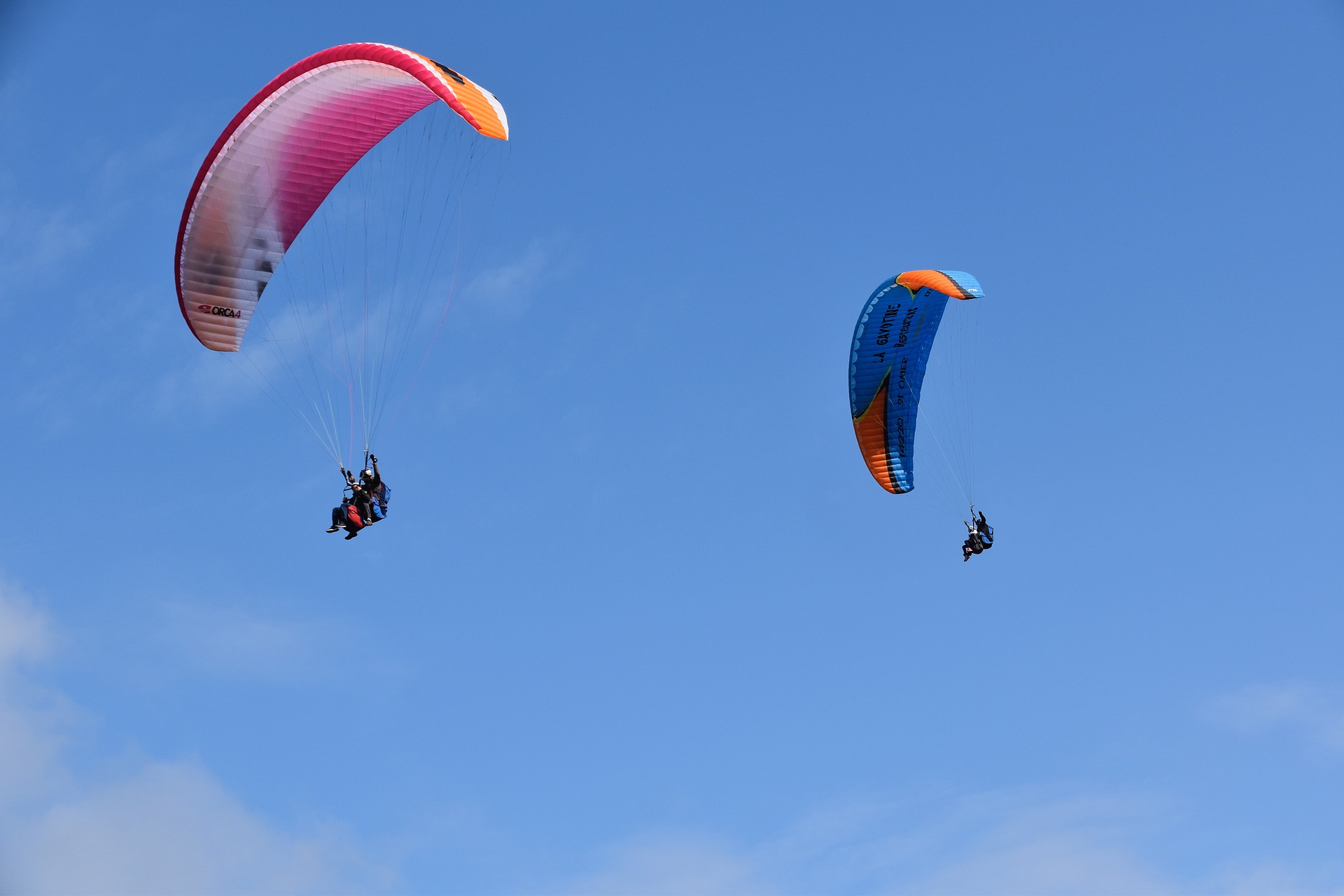 paragliders 4391667 1920